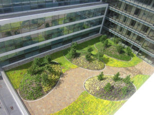 Modern courtyard with curved garden beds and paved walkways beside glass office buildings.