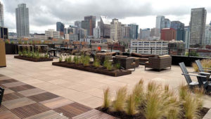 Urban rooftop garden with city skyline in the background.